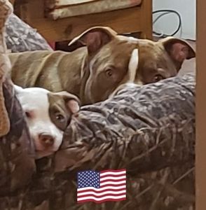 Meet your Posher, Scott